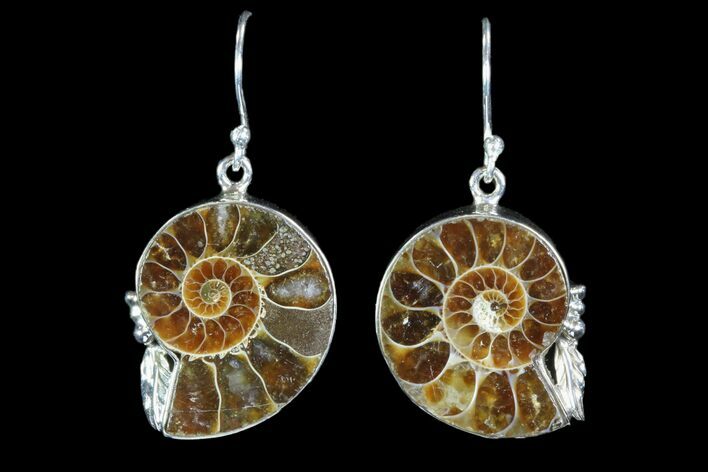 Fossil Ammonite Earrings - Sterling Silver #81644